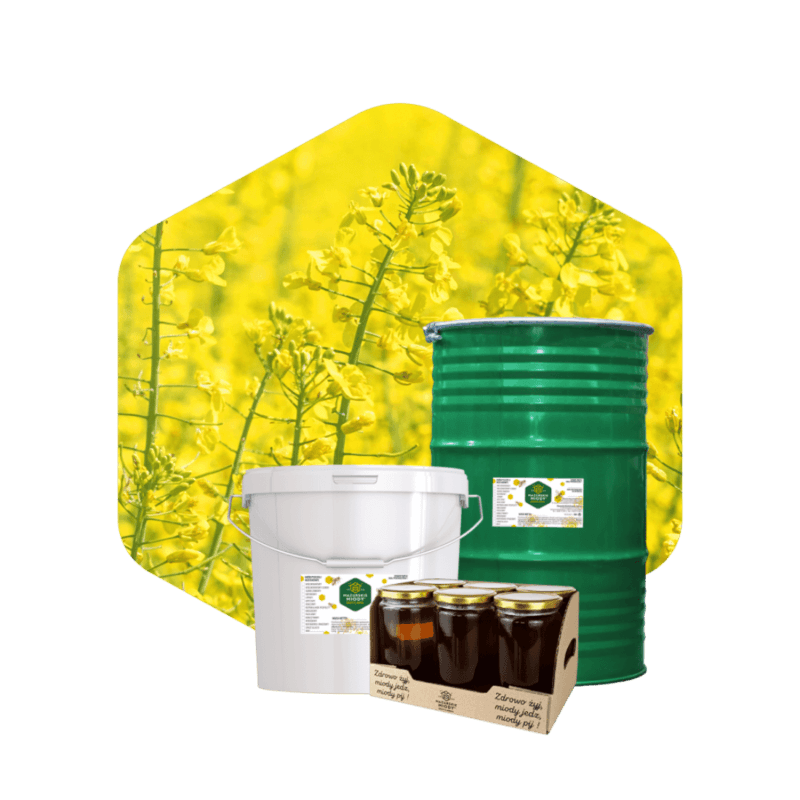 Miód rzepakowy - oferta hurtowa - słoiki, wiadra, beczki