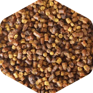 Pierzga pszczela